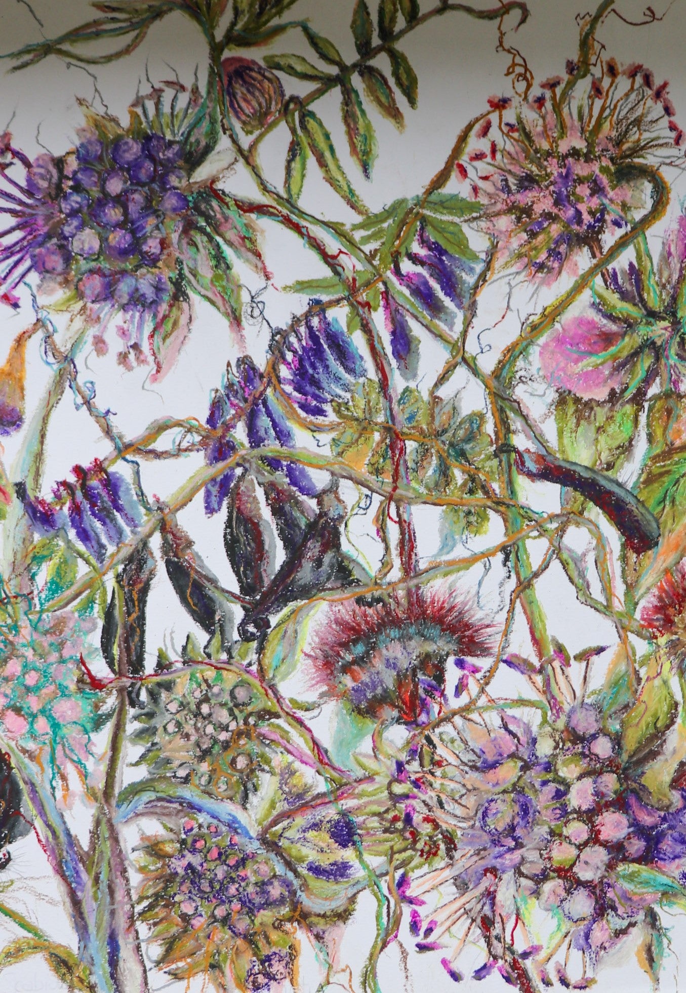 Limited Edition Giclée archival prints