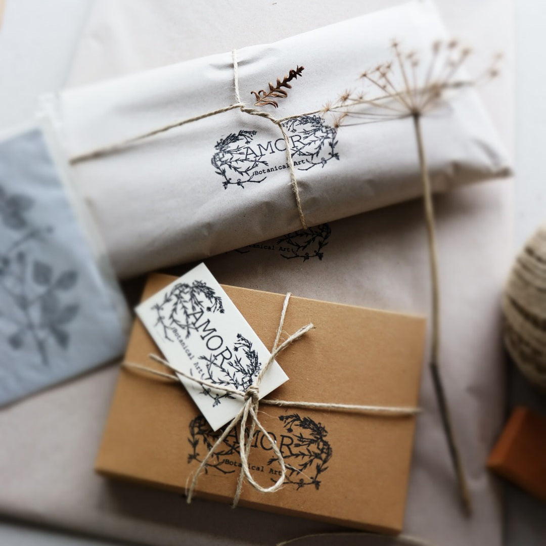 'Field Studies’ Botanical Greeting Cards Gift Box
