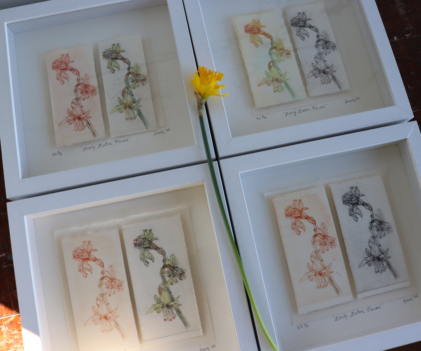 'Early Easter Flower' Original Drypoint Etching & Watercolour