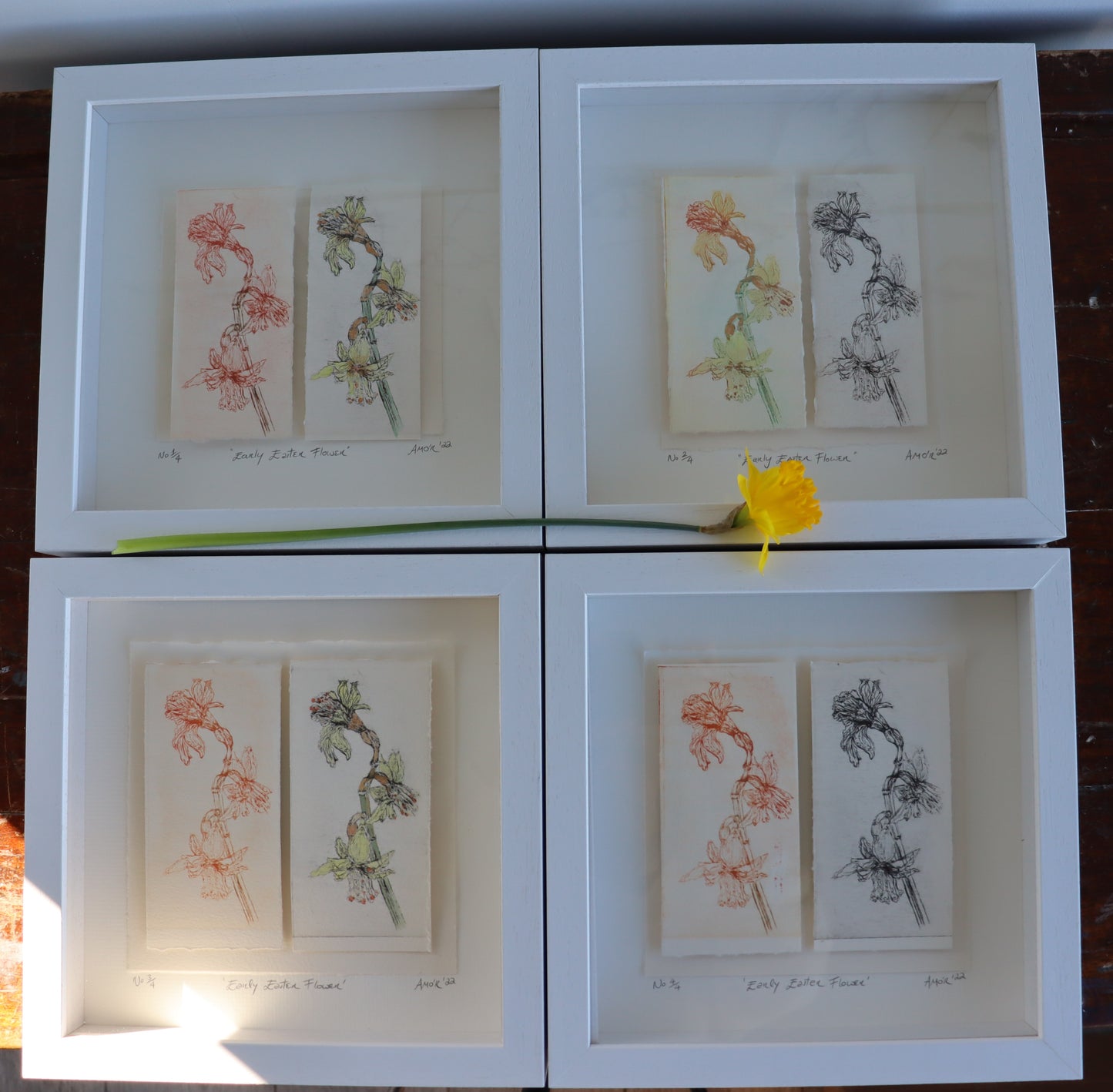 'Early Easter Flower' Original Drypoint Etching & Watercolour