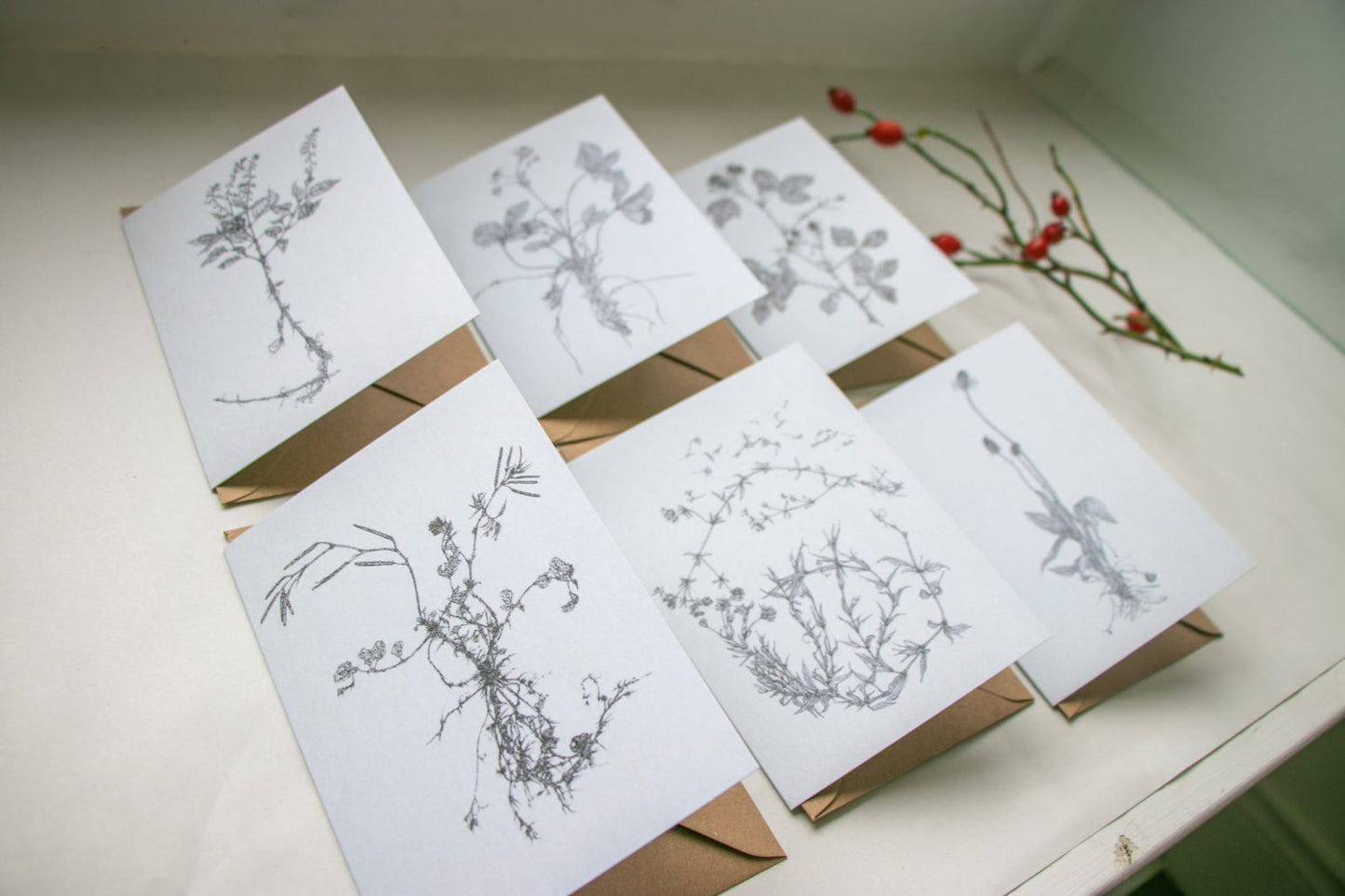 'Field Studies’ Botanical Greeting Cards Gift Box from AMOR Botanical Art, Leitrim