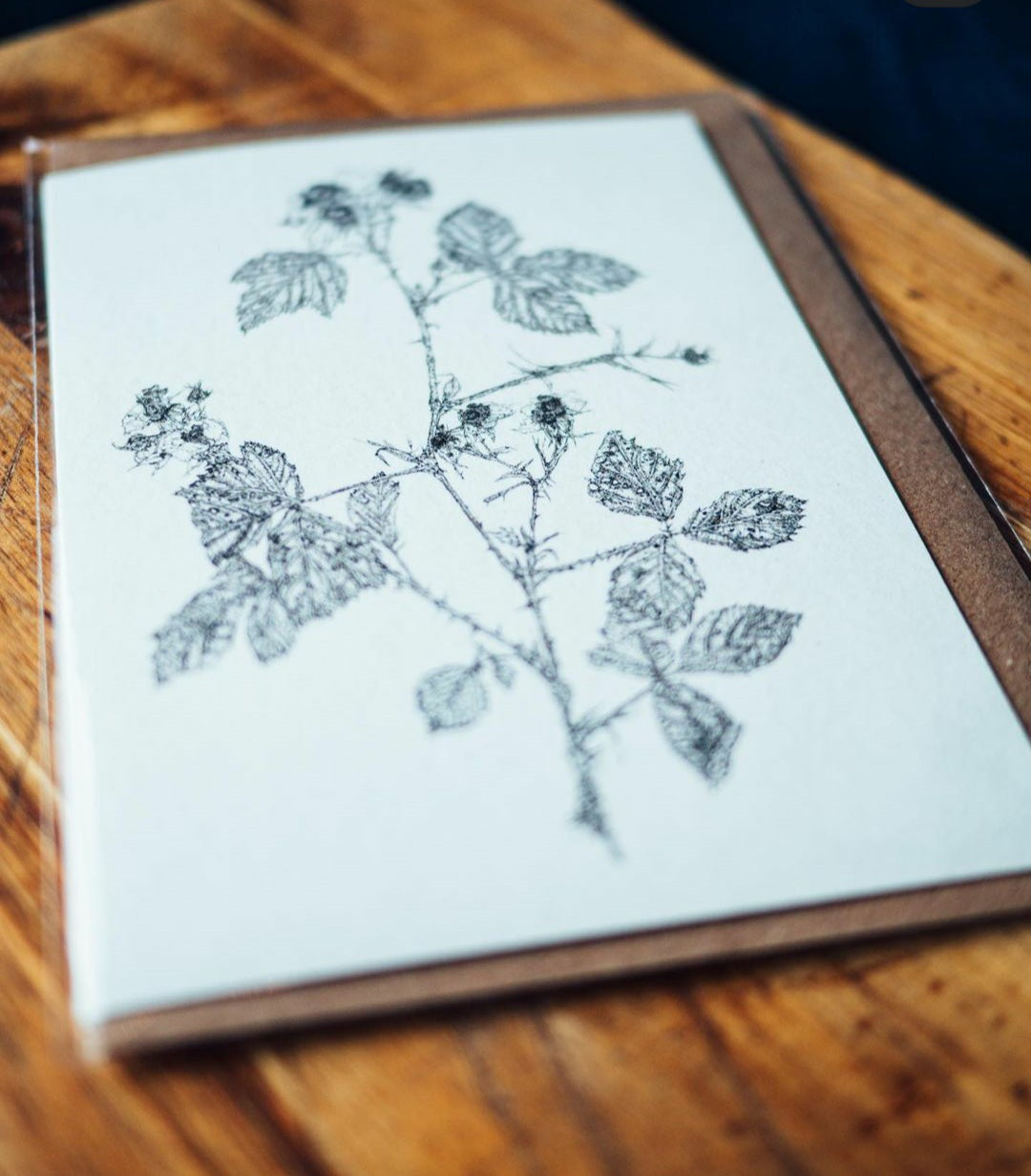 'Field Studies’ Botanical Greeting Cards Gift Box from AMOR Botanical Art, Leitrim