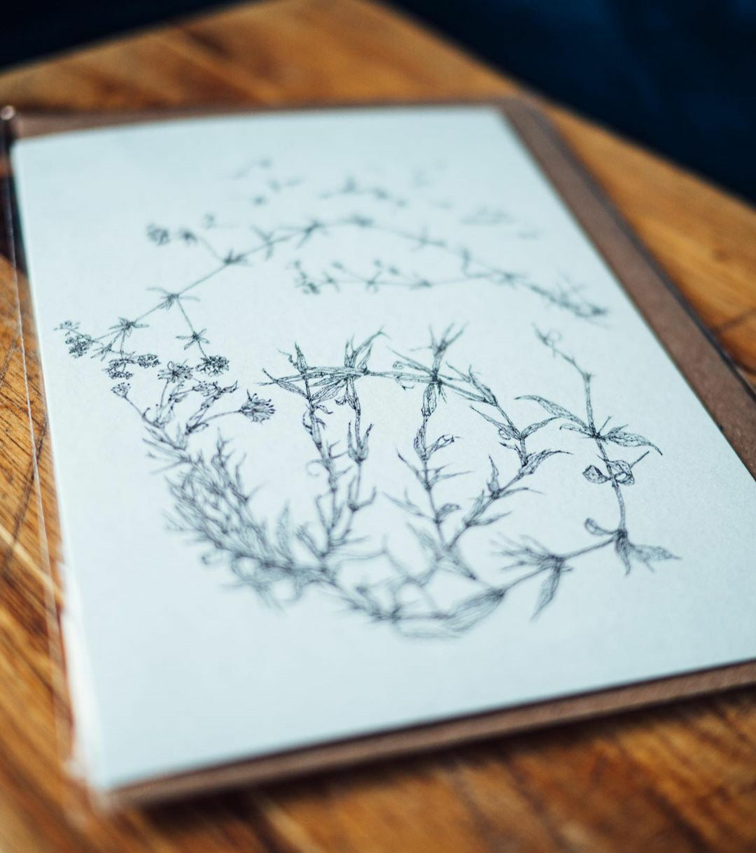 'Field Studies’ Botanical Greeting Cards Gift Box from AMOR Botanical Art, Leitrim