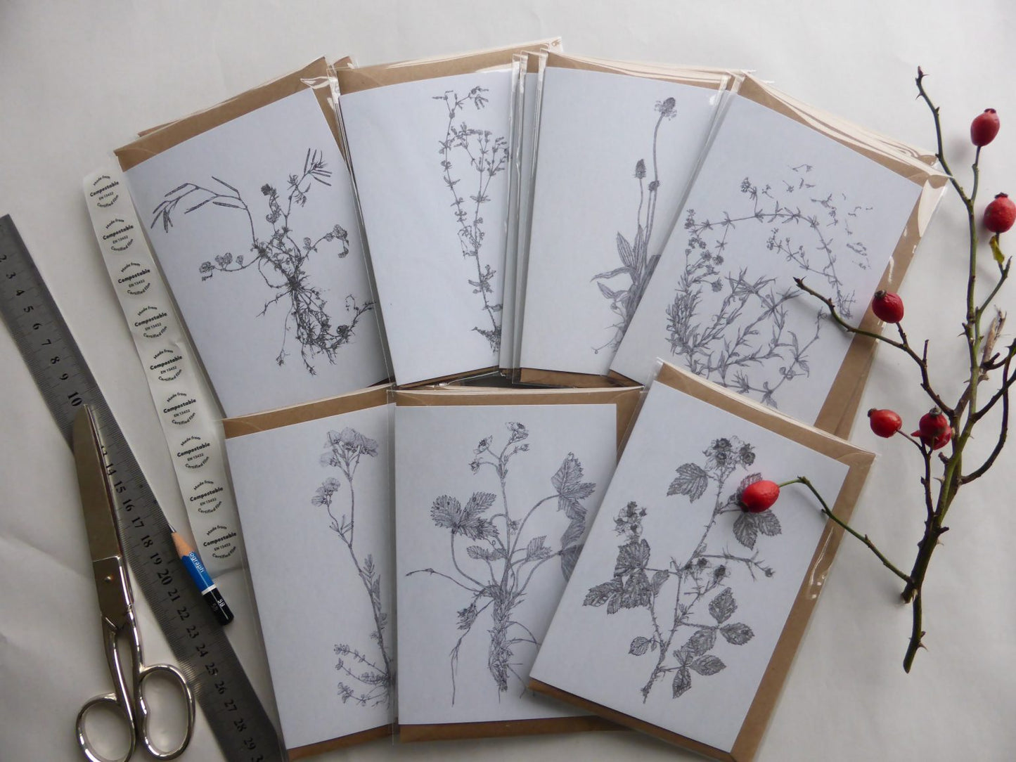 'Field Studies’ Botanical Greeting Cards Gift Box from AMOR Botanical Art, Leitrim