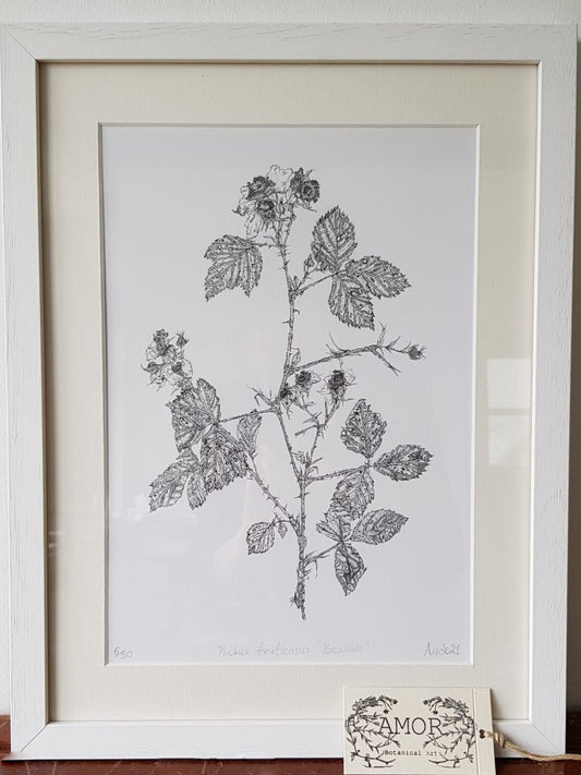 ‘Flowering Bramble’ Limited Edition Fine Art Giclée Print