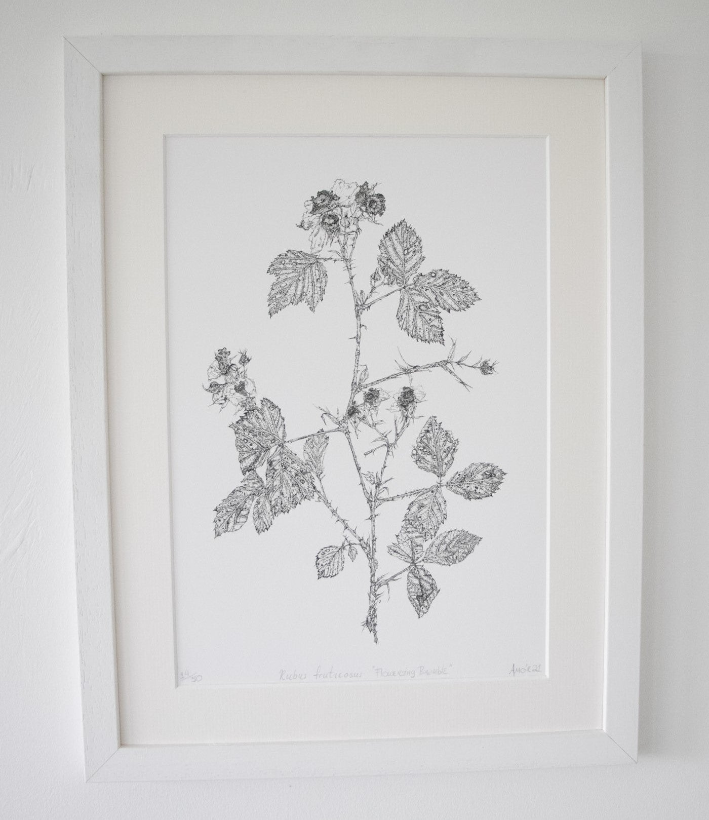 ‘Flowering Bramble’ Limited Edition Fine Art Giclée Print