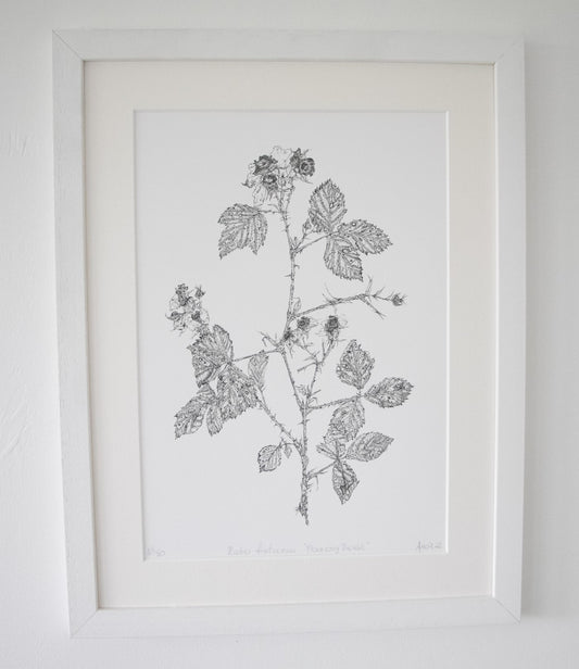 ‘Flowering Bramble’ Limited Edition Fine Art Giclée Print
