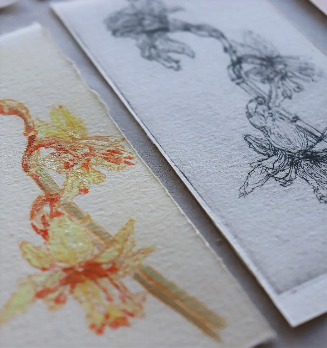 'Early Easter Flower' Original Drypoint Etching & Watercolour