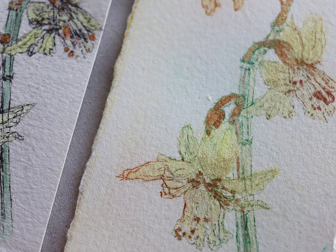 'Early Easter Flower' Original Drypoint Etching & Watercolour