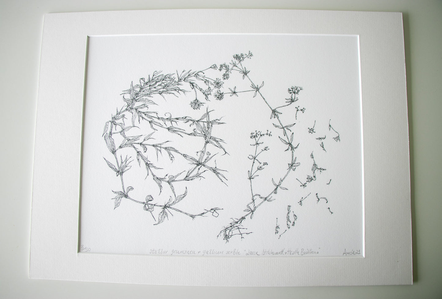 ‘Lesser Stitchworth & Heath Bedstraw’ Irish Linen Cushion