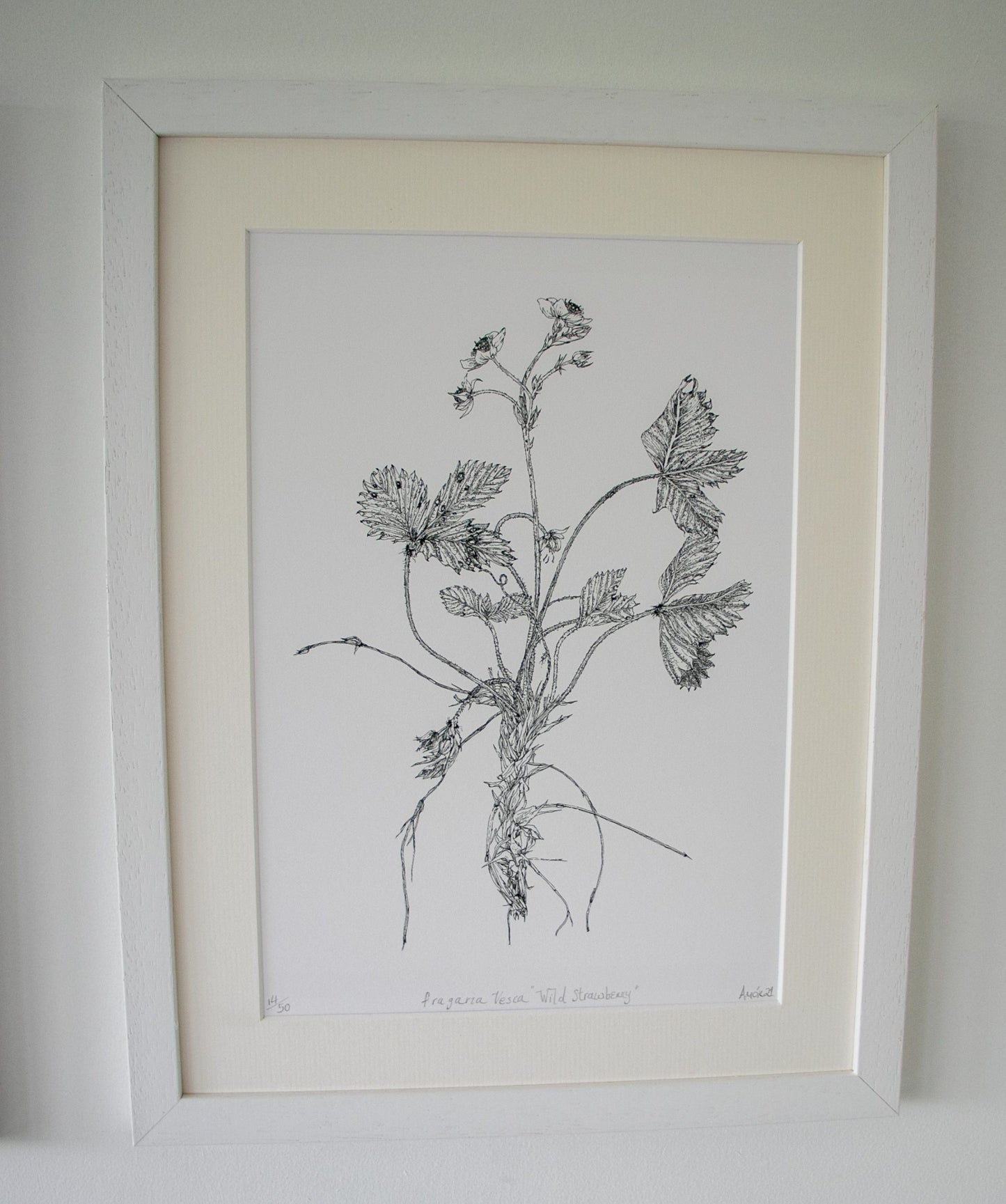 ‘Wild Strawberry’ Limited Edition Fine Art Print