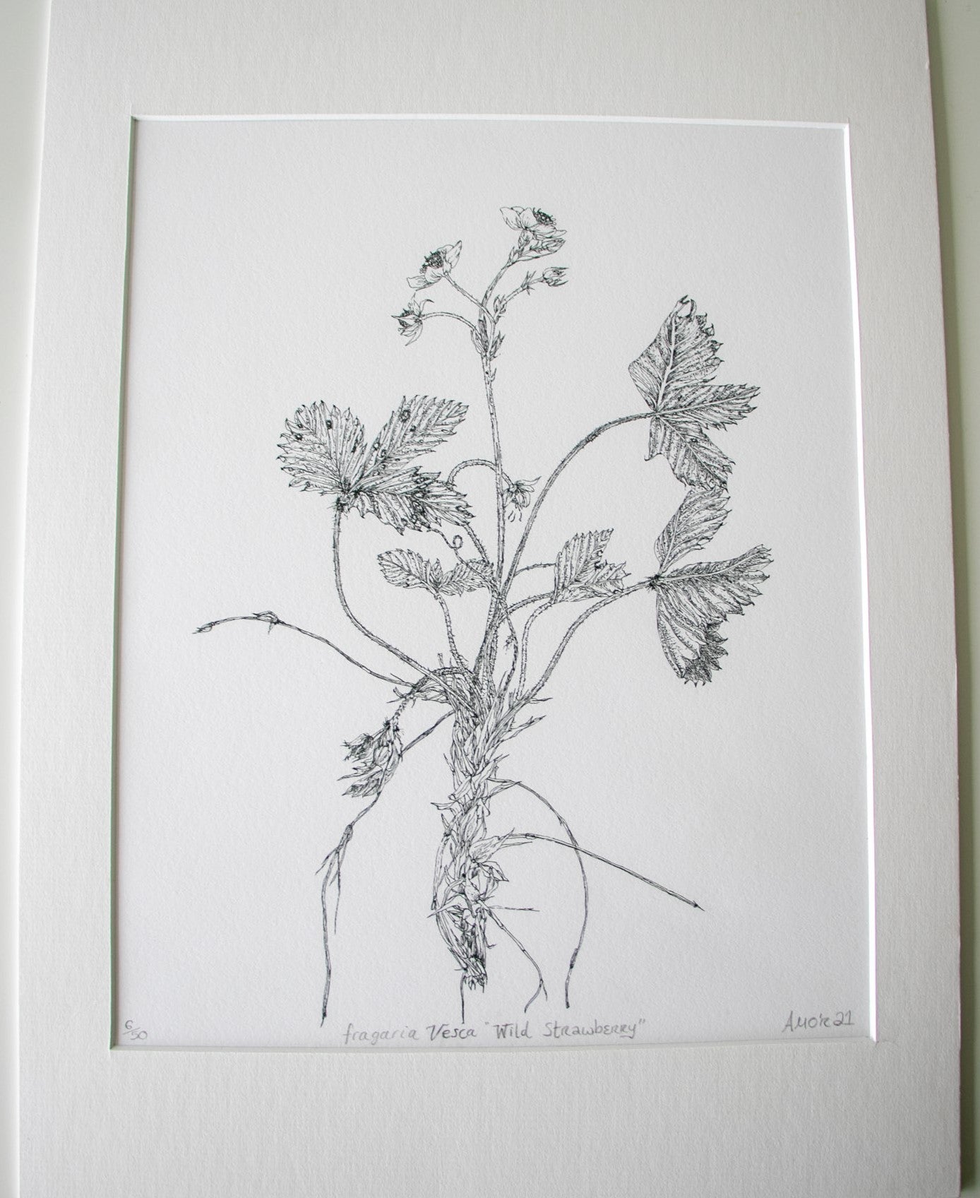 ‘Wild Strawberry’ Limited Edition Fine Art Print