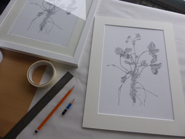 ‘Wild Strawberry’ Limited Edition Fine Art Print