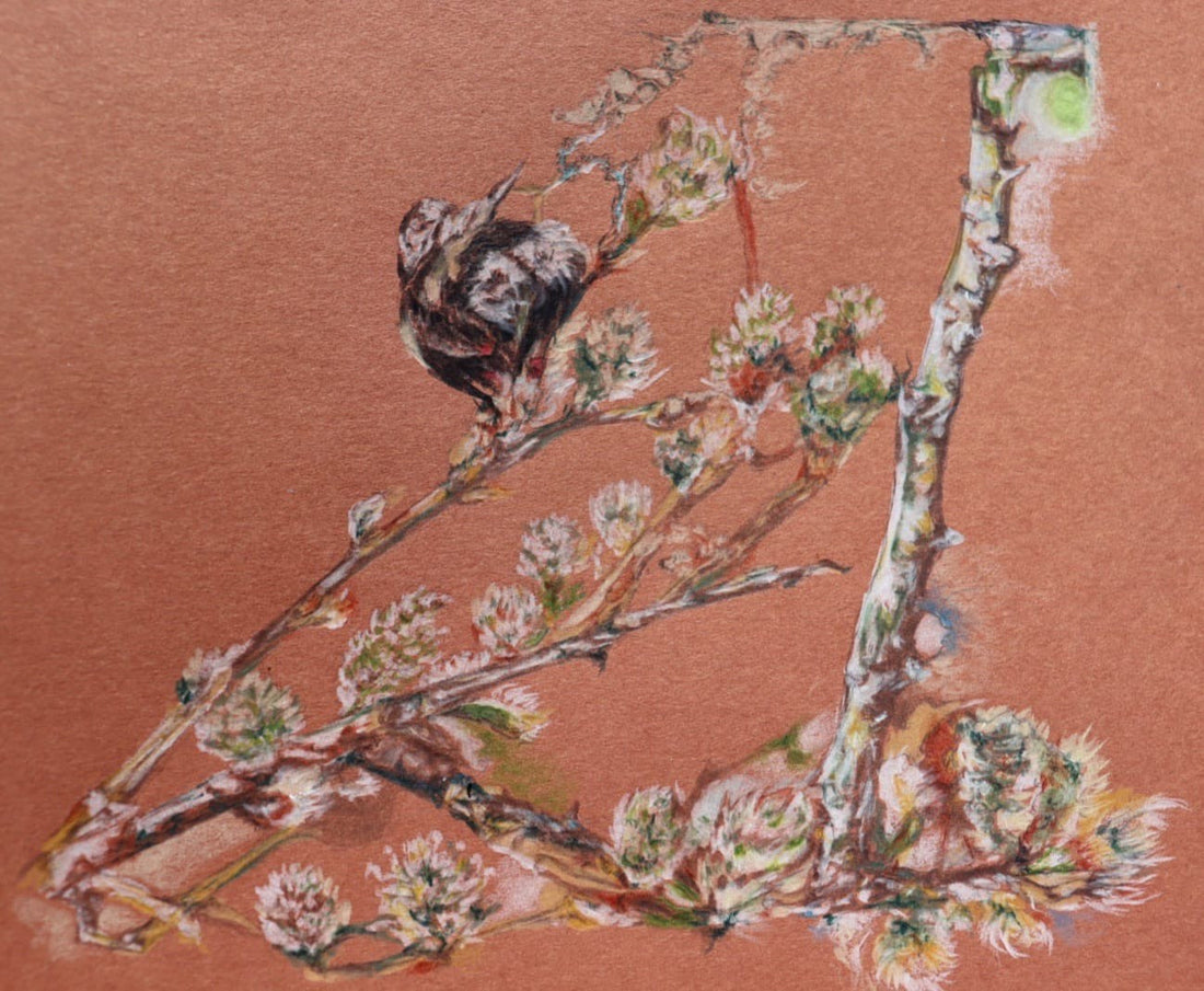 'Sally Willow and Queen Bees'