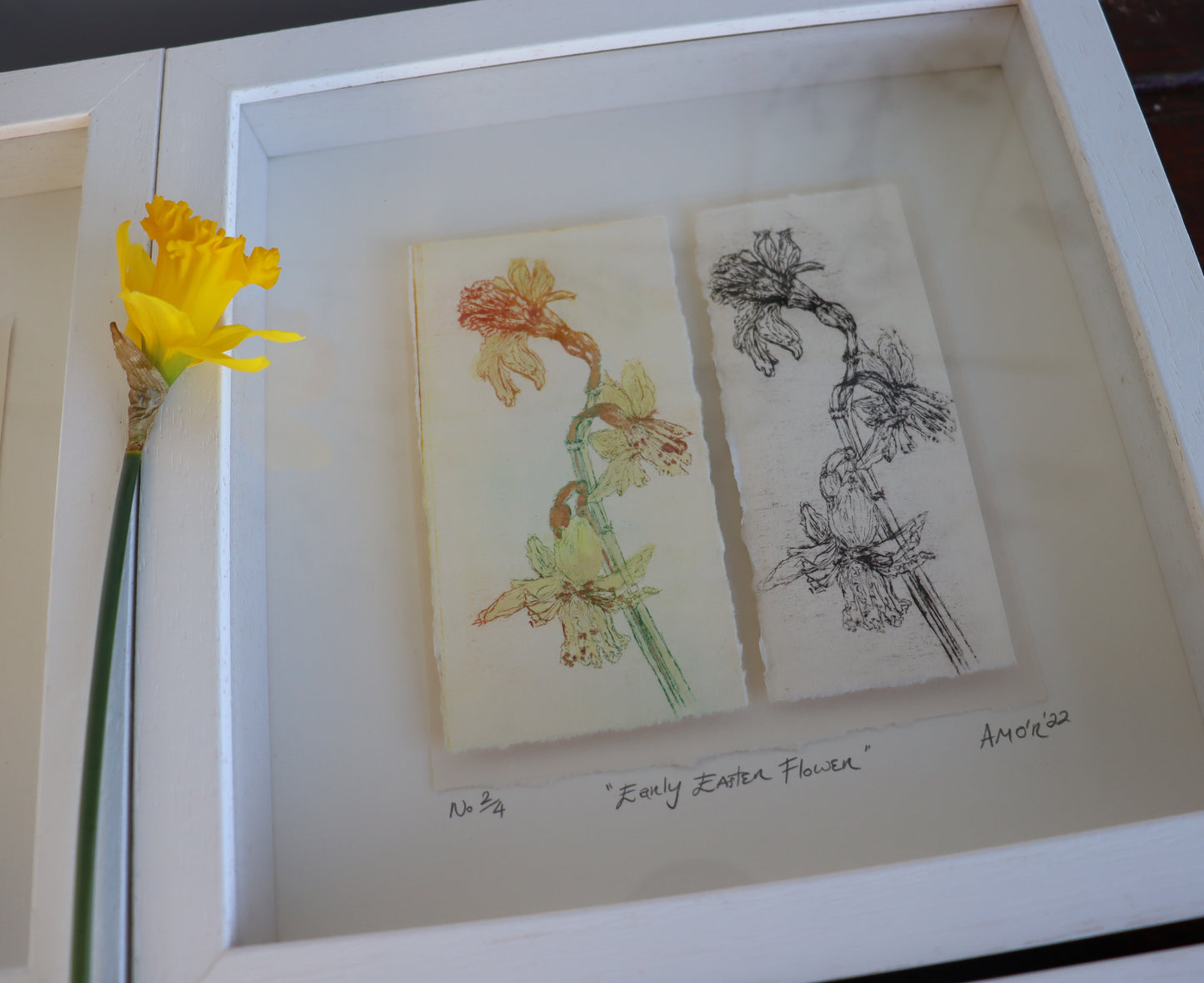 'Early Easter Flower' Original Drypoint Etching & Watercolour